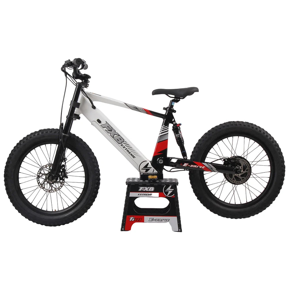 KTX-672531 20-Inch Electric Balance Bike for Kids with Aluminum Frame and Hydraulic Brakes