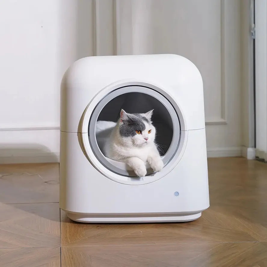 KTX-676179 Self-Cleaning Smart Cat Litter Box with App Control and Low Noise Motor
