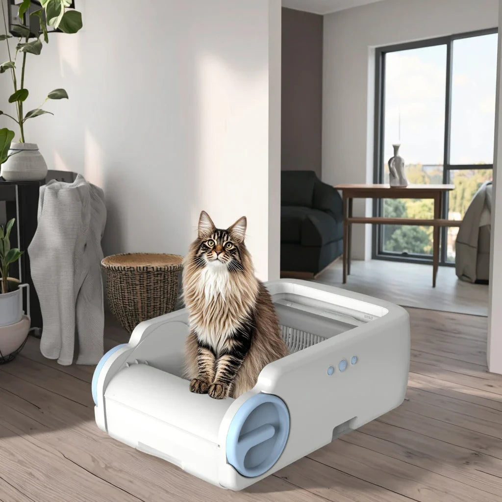 KTX-677011 Automatic Cat Litter Box with Odor Control and Easy Clean Features, Model BLW02-C