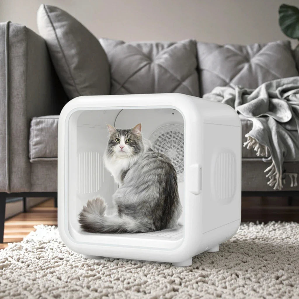 KTX-684883 Smart Pet Hair Dryer Box with Eco-Friendly Design and Constant Temperature for Small Dogs and Cats