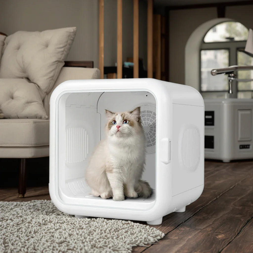 KTX-684883 Smart Pet Hair Dryer Box with Eco-Friendly Design and Constant Temperature for Small Dogs and Cats