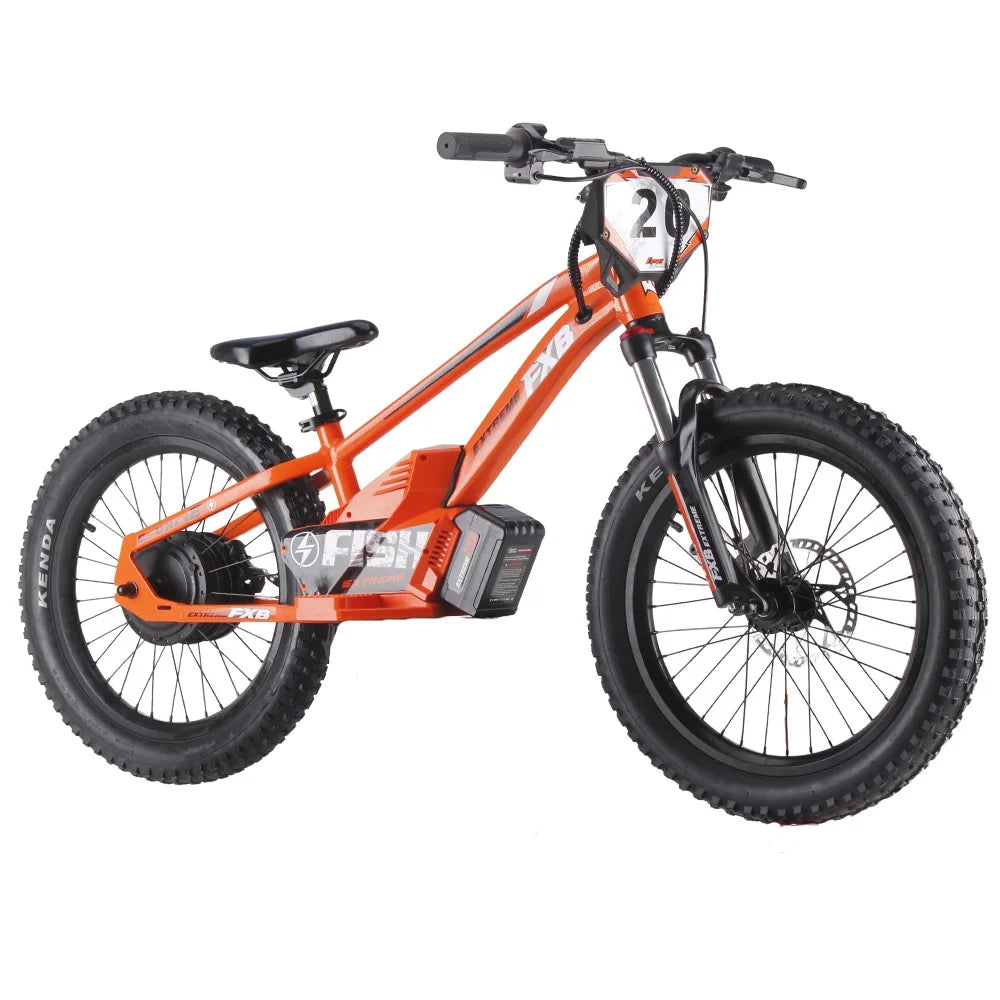KTX-689491 Electric Balance Bike for Kids, 20-Inch, 36V 800W, Aluminum Alloy Frame, Hydraulic Disc Brake, 3-Speed Gear