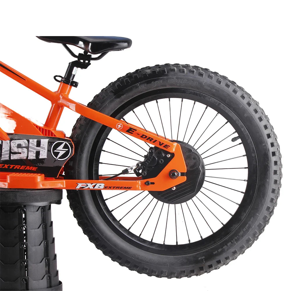 KTX-689491 Electric Balance Bike for Kids, 20-Inch, 36V 800W, Aluminum Alloy Frame, Hydraulic Disc Brake, 3-Speed Gear