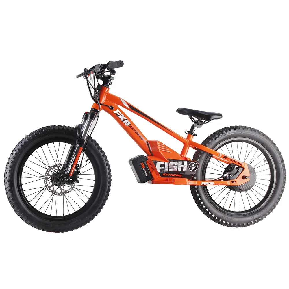 KTX-689491 Electric Balance Bike for Kids, 20-Inch, 36V 800W, Aluminum Alloy Frame, Hydraulic Disc Brake, 3-Speed Gear