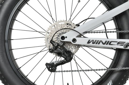 KTX-696531 DENGFU E-Bike Snow Bike E56 with Bafang M620 Motor and Full Suspension Carbon Frame