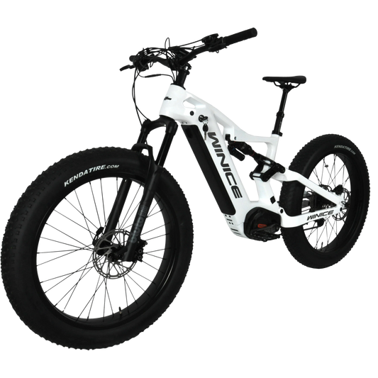 KTX-696531 DENGFU E-Bike Snow Bike E56 with Bafang M620 Motor and Full Suspension Carbon Frame