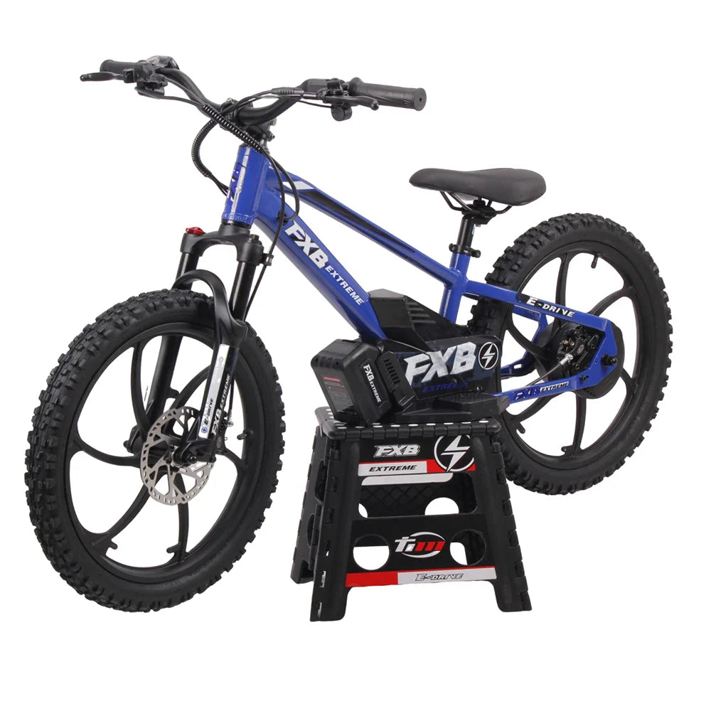 KTX-705299 Kids Electric Balance Bike 20inch with Brushless Motor and Hydraulic Disc Brakes, Ages 8-13, Max Load 100kg