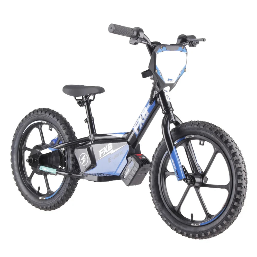 KTX-706451 16-Inch Aluminum Alloy Mini Electric Balance Bike for Kids with 350W Motor and Disc Brakes