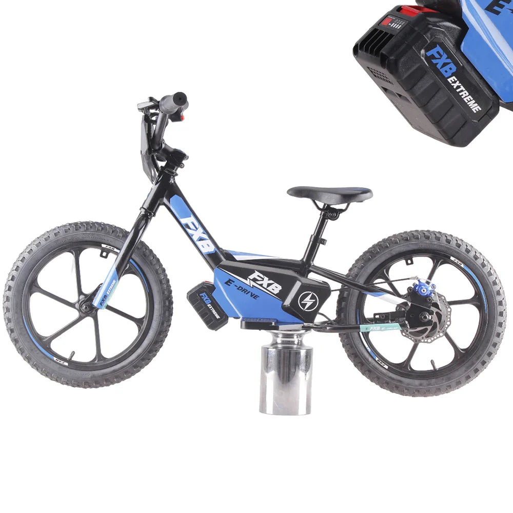 KTX-706451 16-Inch Aluminum Alloy Mini Electric Balance Bike for Kids with 350W Motor and Disc Brakes
