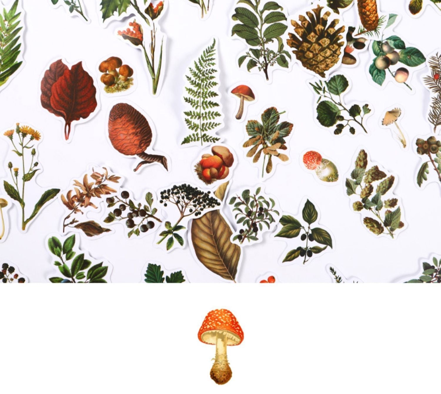 KTX-726227 Self-Adhesive Forest Mushroom Stickers for Celebrations and Crafting