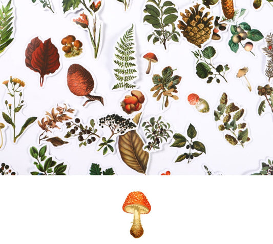 KTX-726227 Self-Adhesive Forest Mushroom Stickers for Celebrations and Crafting