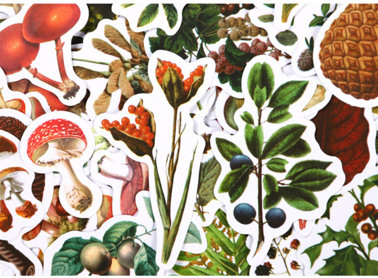 KTX-726227 Self-Adhesive Forest Mushroom Stickers for Celebrations and Crafting