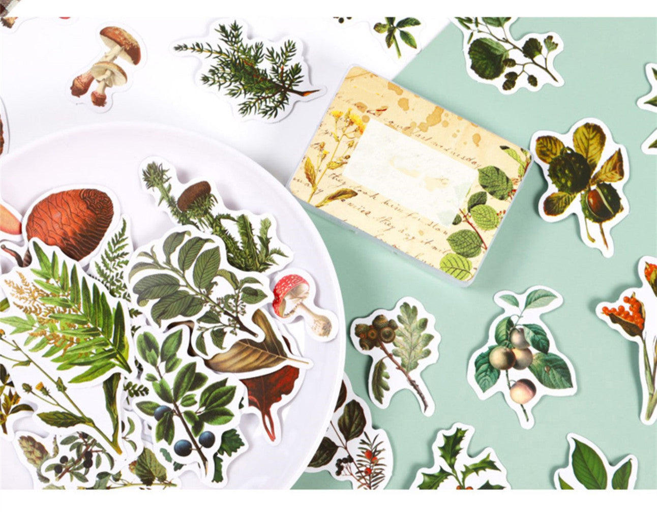 KTX-726227 Self-Adhesive Forest Mushroom Stickers for Celebrations and Crafting