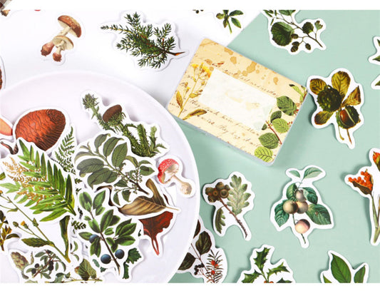 KTX-726227 Self-Adhesive Forest Mushroom Stickers for Celebrations and Crafting