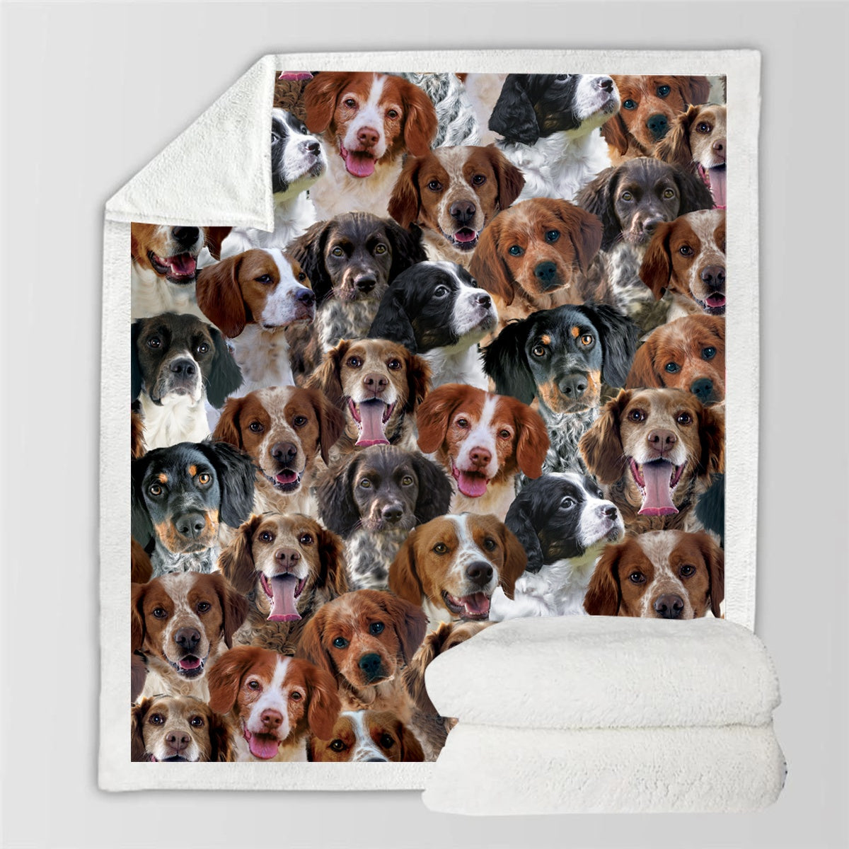 KTX-728595 Modern Printed Flannel Blanket for Pets - Available in Two Sizes