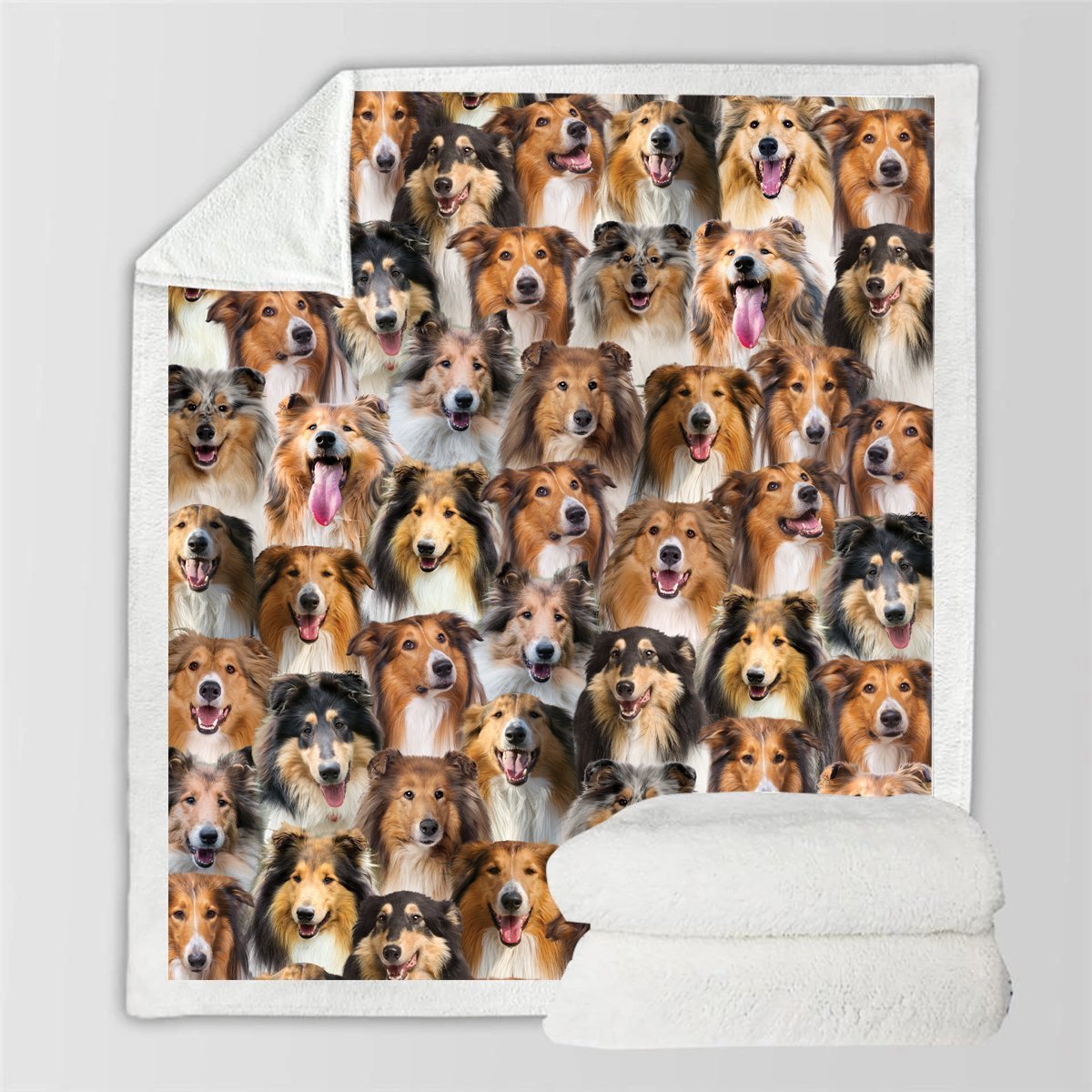 KTX-728595 Modern Printed Flannel Blanket for Pets - Available in Two Sizes