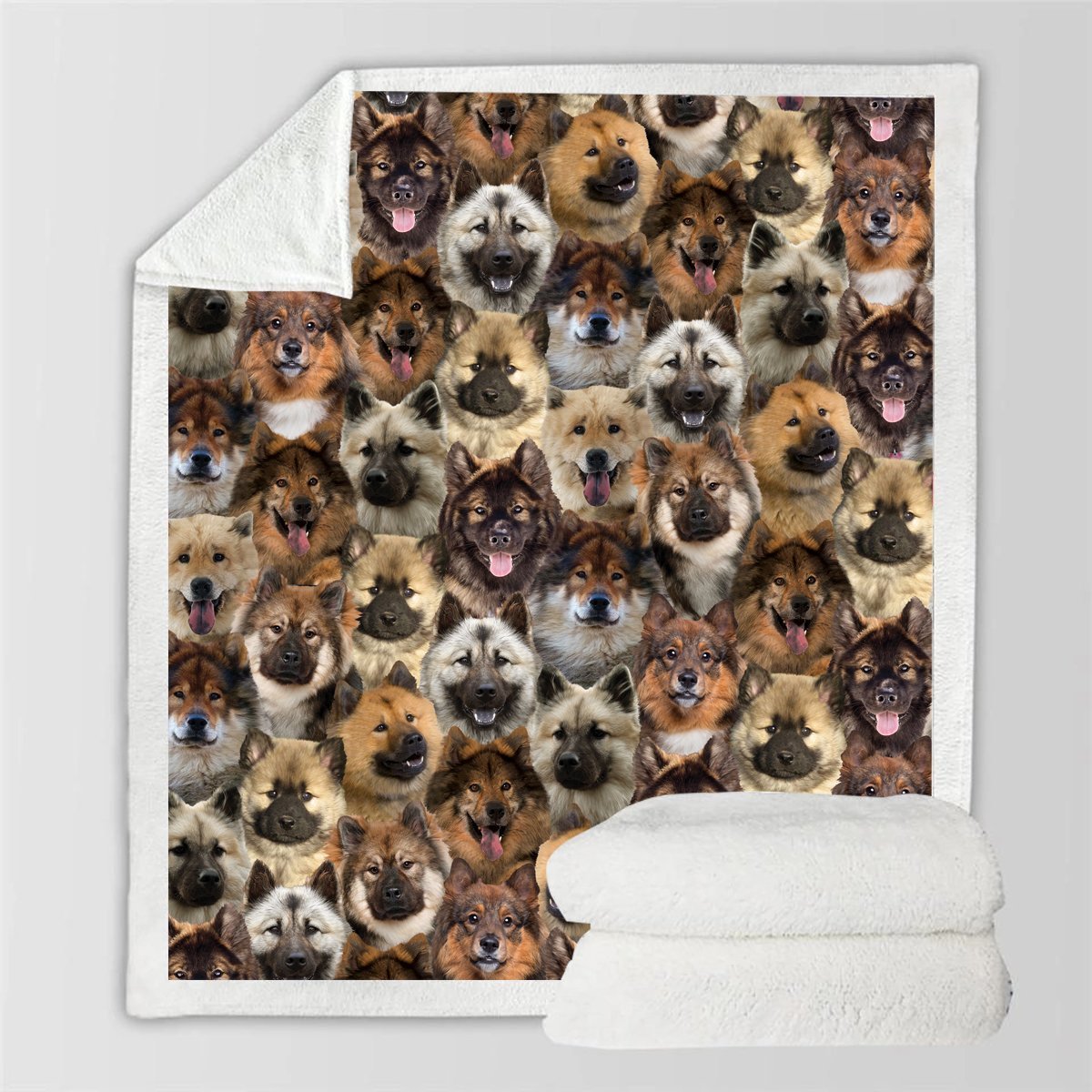 KTX-728595 Modern Printed Flannel Blanket for Pets - Available in Two Sizes