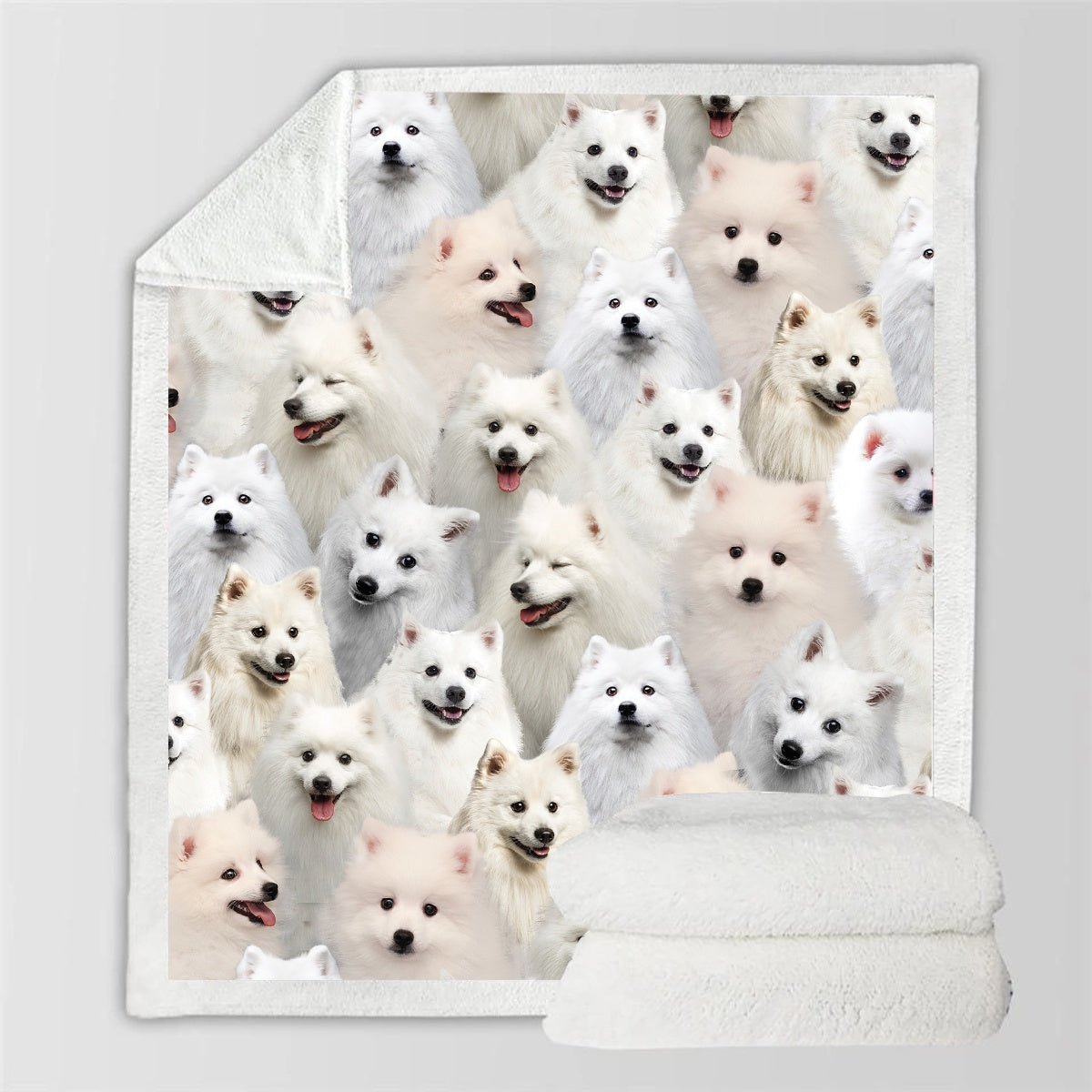 KTX-728595 Modern Printed Flannel Blanket for Pets - Available in Two Sizes