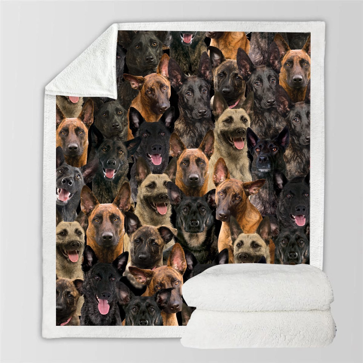 KTX-728595 Modern Printed Flannel Blanket for Pets - Available in Two Sizes