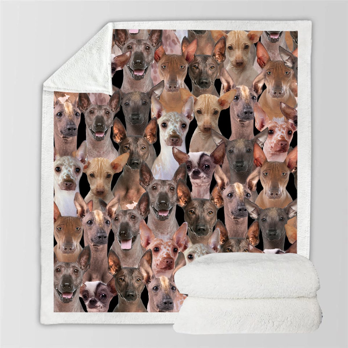 KTX-728595 Modern Printed Flannel Blanket for Pets - Available in Two Sizes