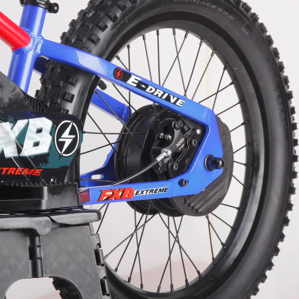 KTX-739219 20-Inch Electric Balance Bike with 800W Motor, 10.0AH Battery, 3 Speed Modes, and Hydraulic Disc Brakes