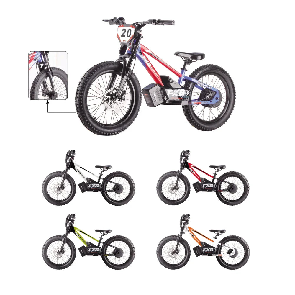 KTX-739219 20-Inch Electric Balance Bike with 800W Motor, 10.0AH Battery, 3 Speed Modes, and Hydraulic Disc Brakes
