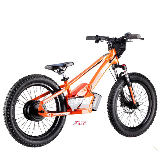 KTX-740371 20-Inch Folding Electric Bike with 800W Rear Hub Motor and 36V 10AH Lithium Battery