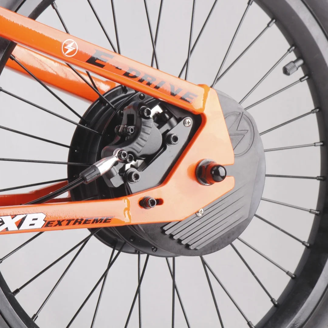 KTX-740371 20-Inch Folding Electric Bike with 800W Rear Hub Motor and 36V 10AH Lithium Battery