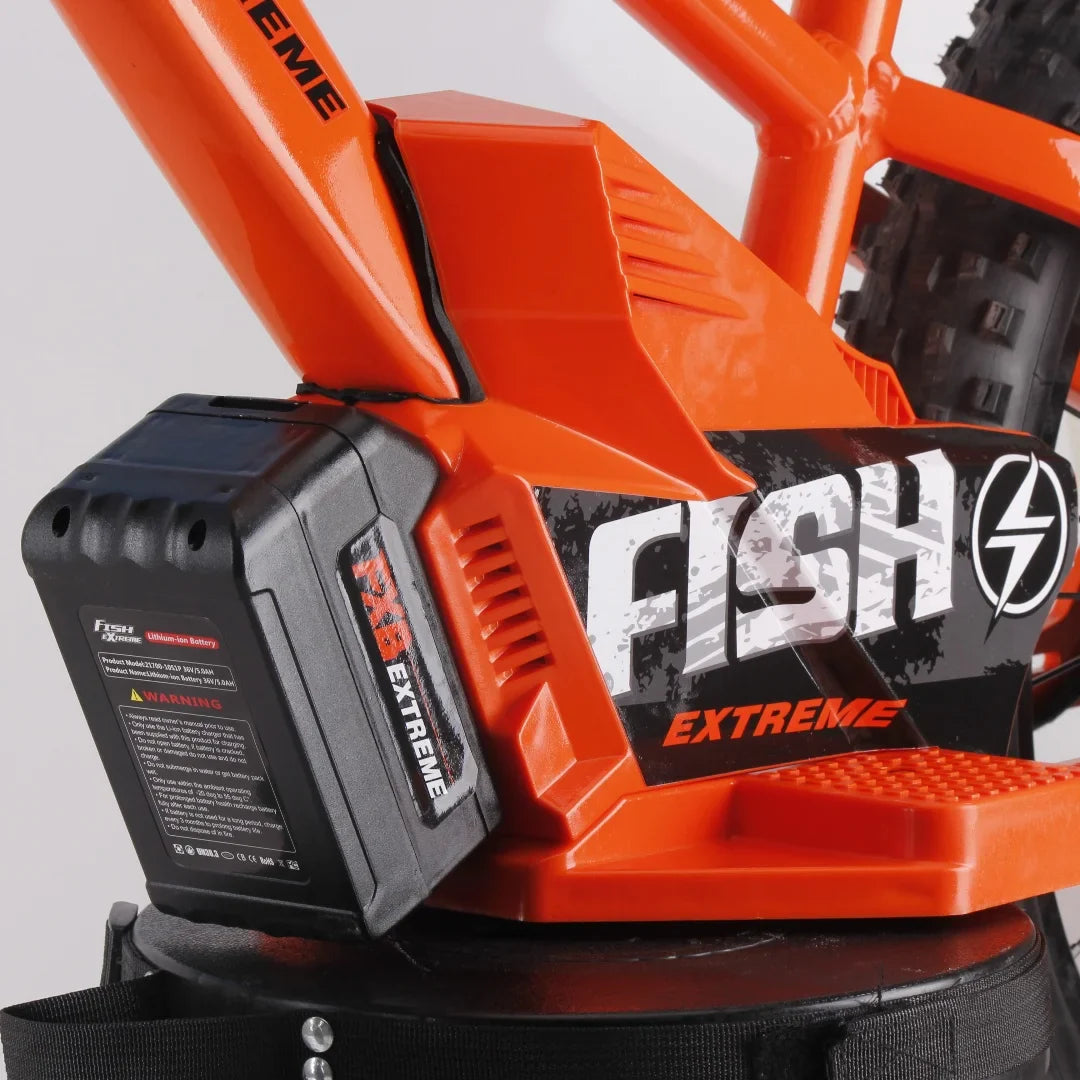 KTX-740371 20-Inch Folding Electric Bike with 800W Rear Hub Motor and 36V 10AH Lithium Battery