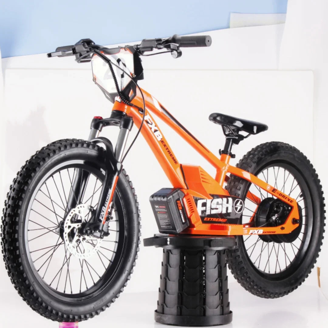 KTX-740371 20-Inch Folding Electric Bike with 800W Rear Hub Motor and 36V 10AH Lithium Battery