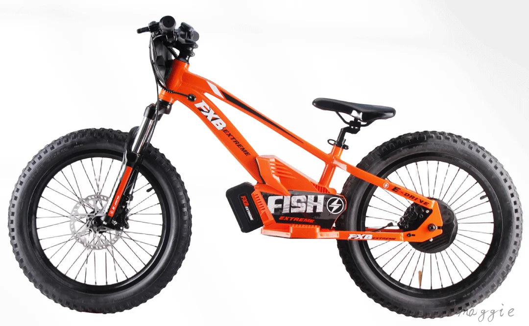 KTX-740371 20-Inch Folding Electric Bike with 800W Rear Hub Motor and 36V 10AH Lithium Battery