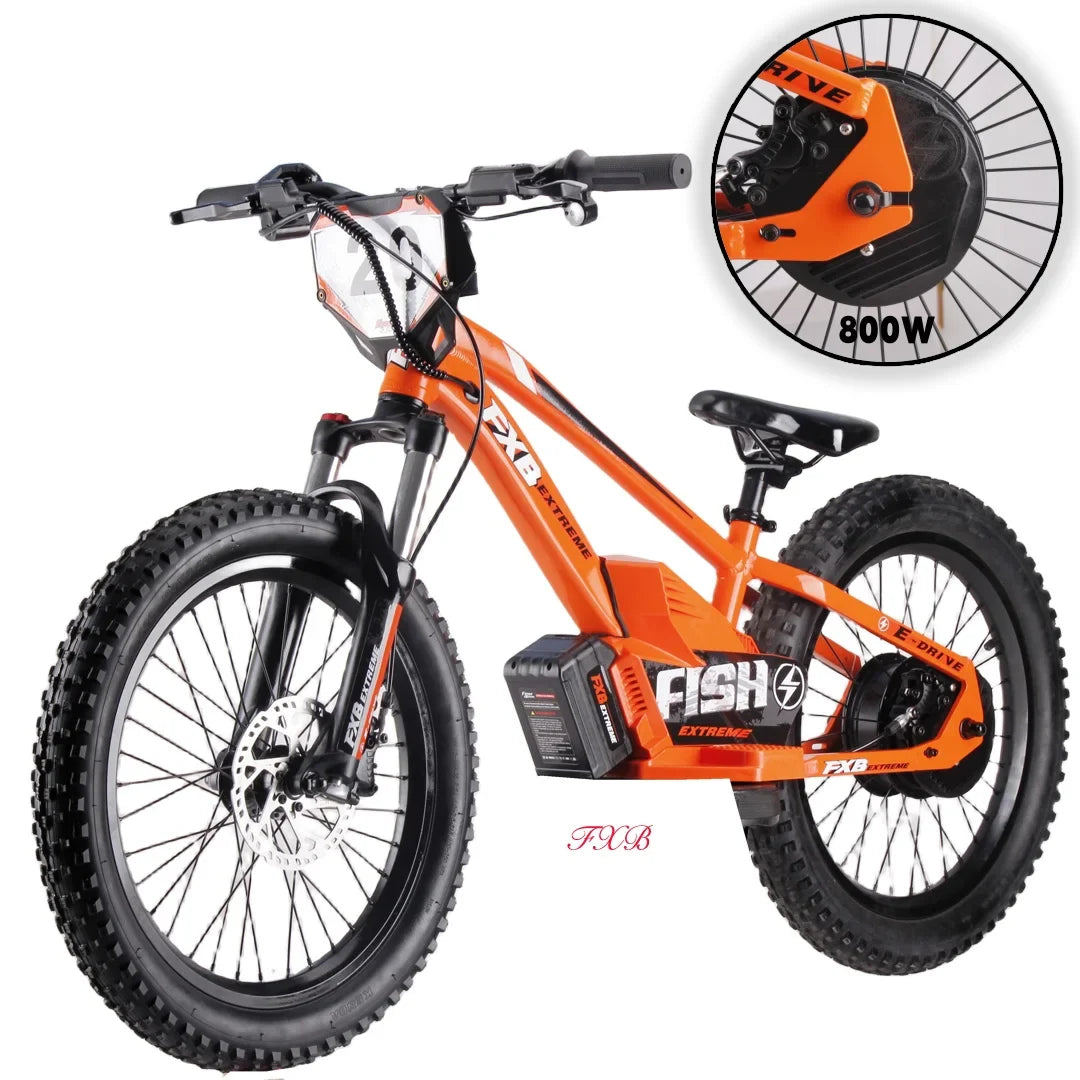 KTX-740371 20-Inch Folding Electric Bike with 800W Rear Hub Motor and 36V 10AH Lithium Battery