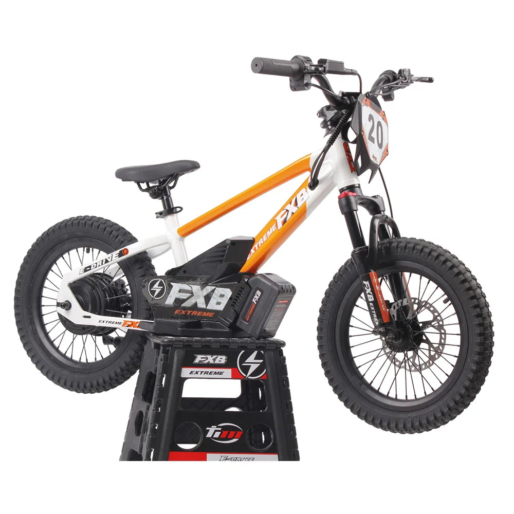 KTX-753875 16-Inch Aluminum Electric Balance Bike for Kids with 400W Motor and 36V 5Ah Battery
