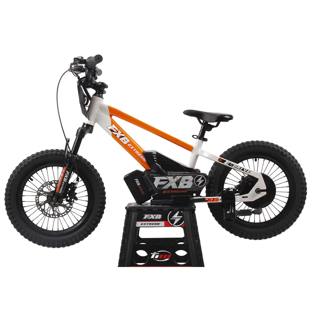 KTX-753875 16-Inch Aluminum Electric Balance Bike for Kids with 400W Motor and 36V 5Ah Battery