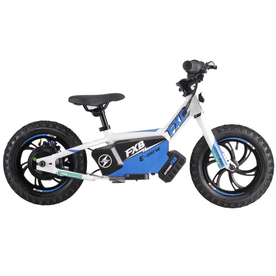 KTX-756179 12-Inch Electric Kids Balance Dirt Bike with 36V 250W Lithium Battery and Disc Brake System for Ages 3-6