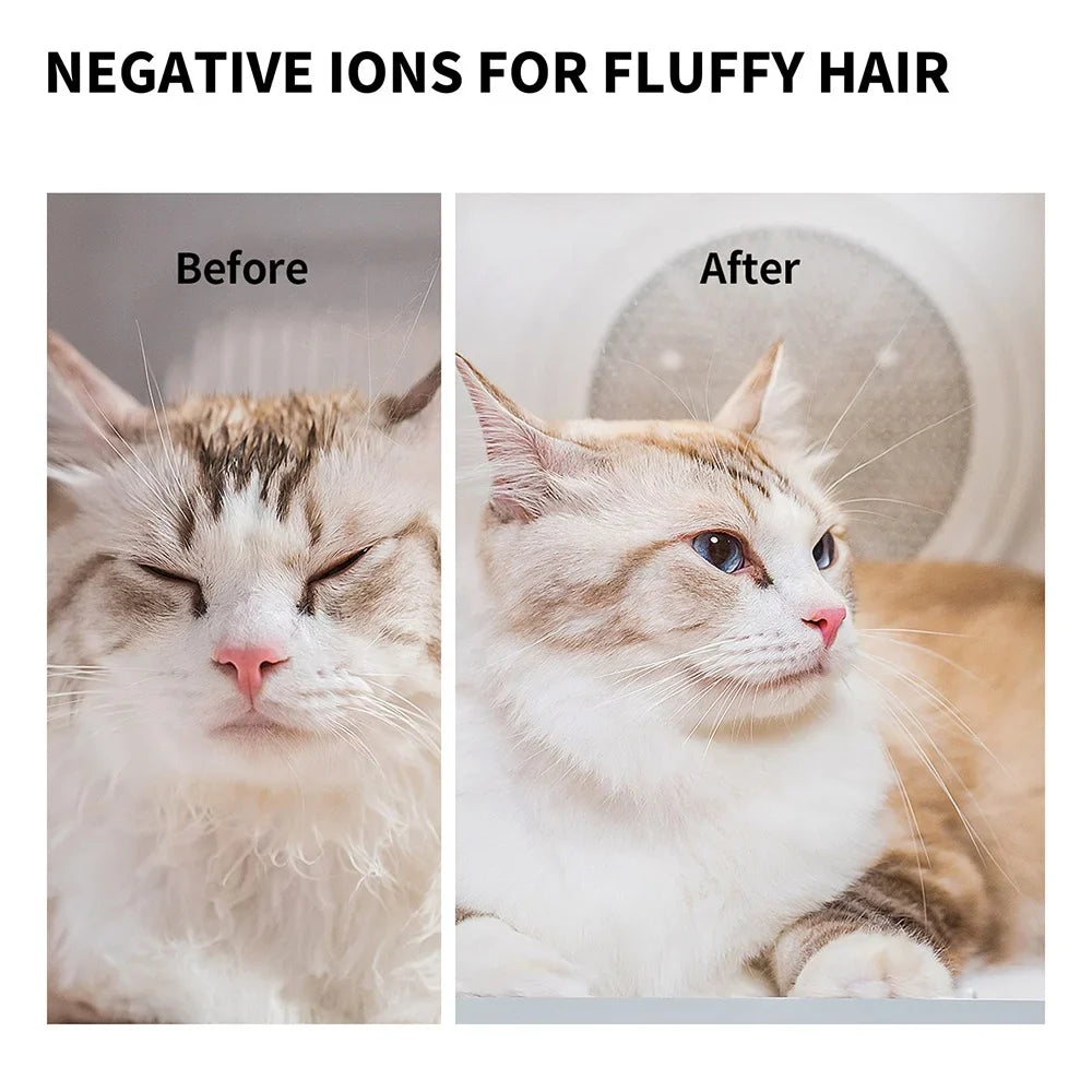 KTX-761619 Smart Pet Hair Dryer for Cats and Small Dogs with Temperature Control and Ultra Quiet Operation