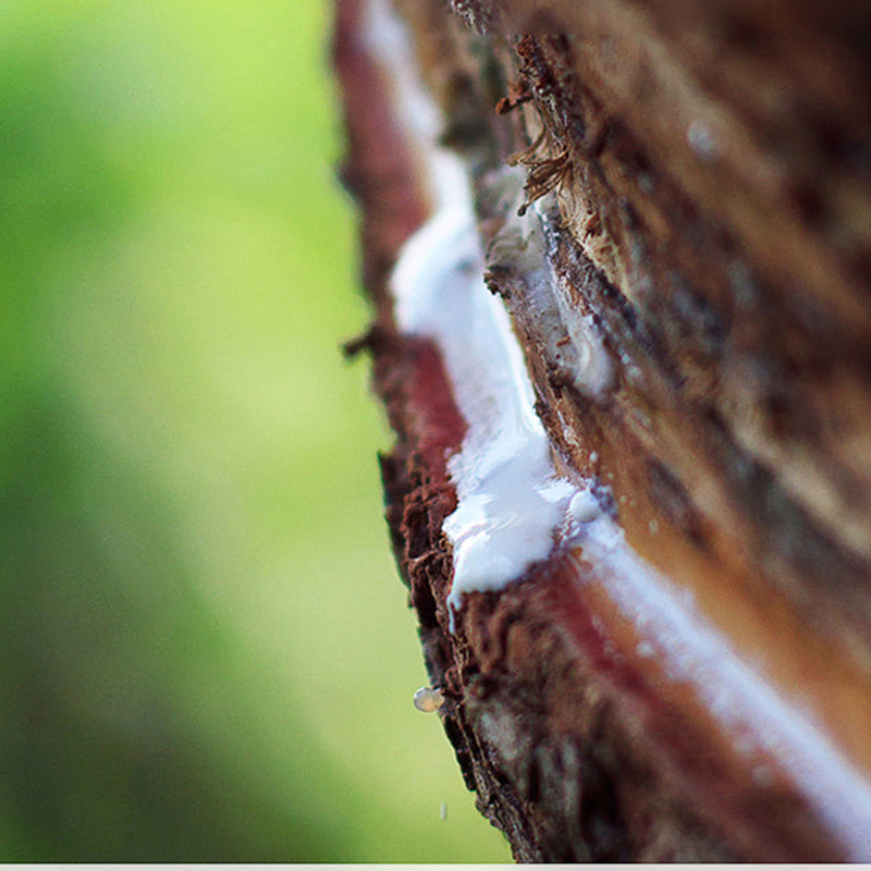 KTX-764819 Breathable Household Latex Mattress - Comfortable Artificial Latex, Multiple Thicknesses & Sizes Available