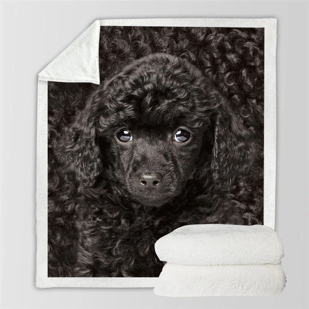 KTX-777747 Double-Sided Flannel Blanket for All-Season Comfort and Warmth