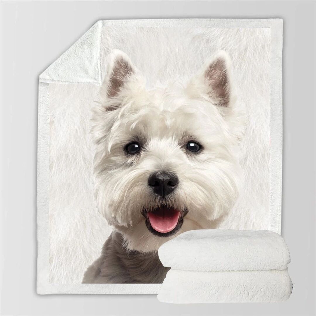 KTX-777747 Double-Sided Flannel Blanket for All-Season Comfort and Warmth