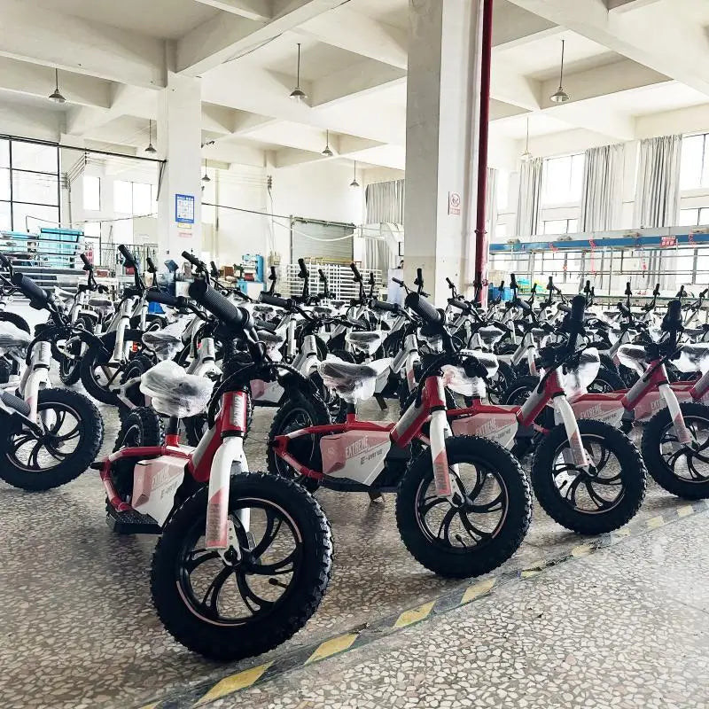 KTX-787795 Kids Electric Balance Bike, 36V 2.5Ah, 12"/16" Wheel Size, Aluminum Alloy Frame, Rear Disc Brake, 2 Speed, Up to 30 km/h