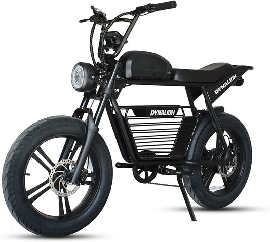 KTX-792915 48V 16Ah Electric Fat Tire Bike with 250W Motor, 7-Speed, Rear Hub, 20" Steel Frame, Disc Brakes