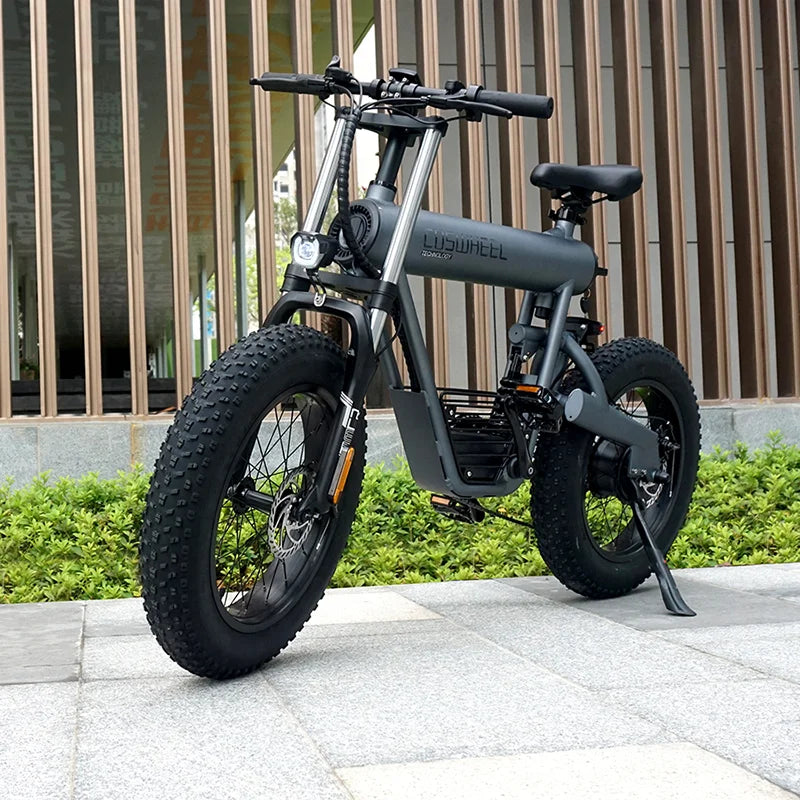 KTX-793683 20 Inch Fat Tire Electric Bicycle with 500W/1000W Motor, 48V, 7-Speed, Hydraulic Disc Brakes, Aluminum Alloy Frame