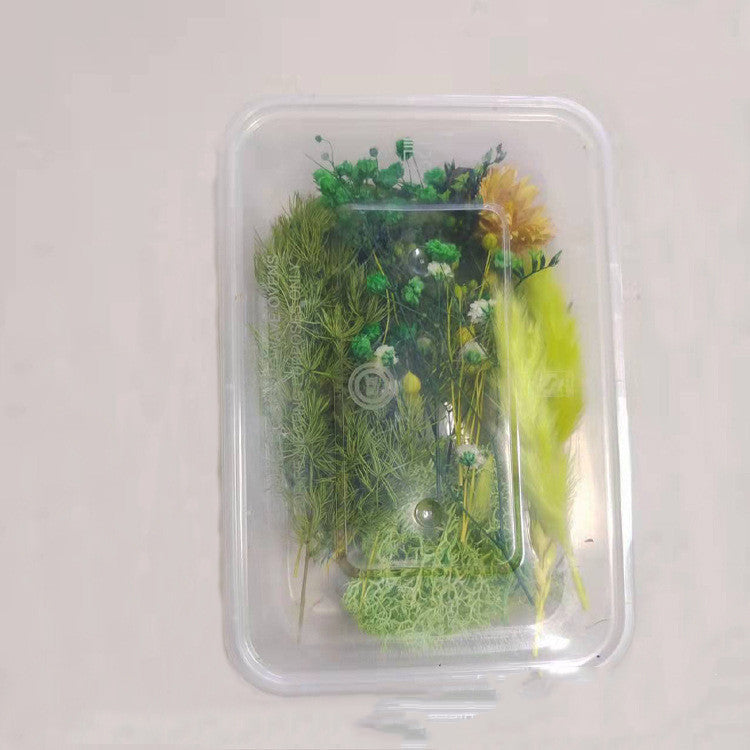 KTX-794067 Dried Flower Photo Frame Craft Kit with Everlasting Flowers