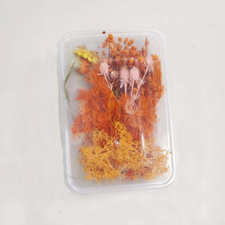 KTX-794067 Dried Flower Photo Frame Craft Kit with Everlasting Flowers