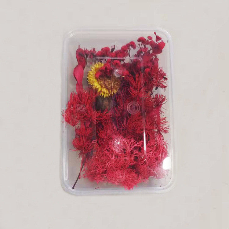 KTX-794067 Dried Flower Photo Frame Craft Kit with Everlasting Flowers