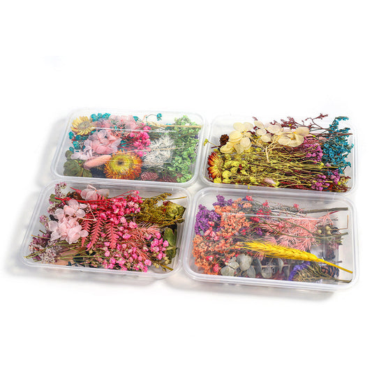 KTX-794067 Dried Flower Photo Frame Craft Kit with Everlasting Flowers