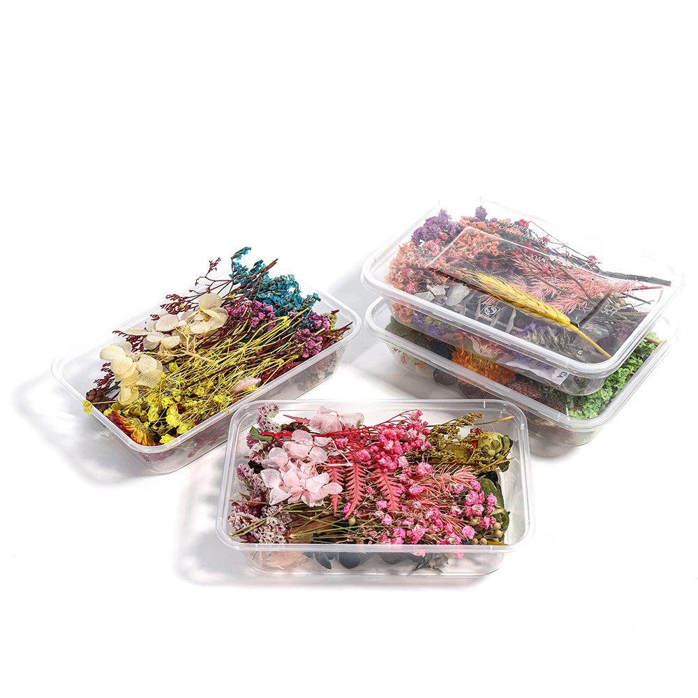 KTX-794067 Dried Flower Photo Frame Craft Kit with Everlasting Flowers