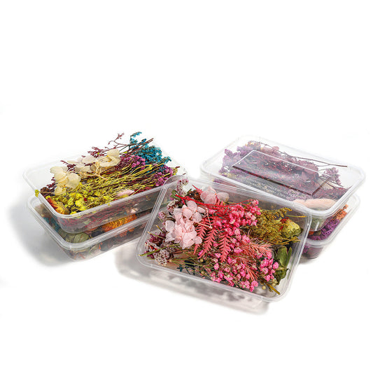 KTX-794067 Dried Flower Photo Frame Craft Kit with Everlasting Flowers