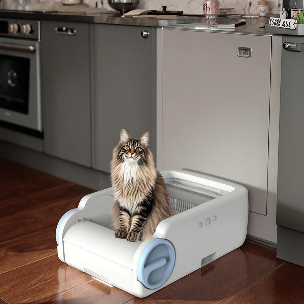 KTX-808083 Automatic Self-Cleaning Cat Litter Box with APP Control, Odor-Free, Low Noise, and Easy Clean for Large Cats