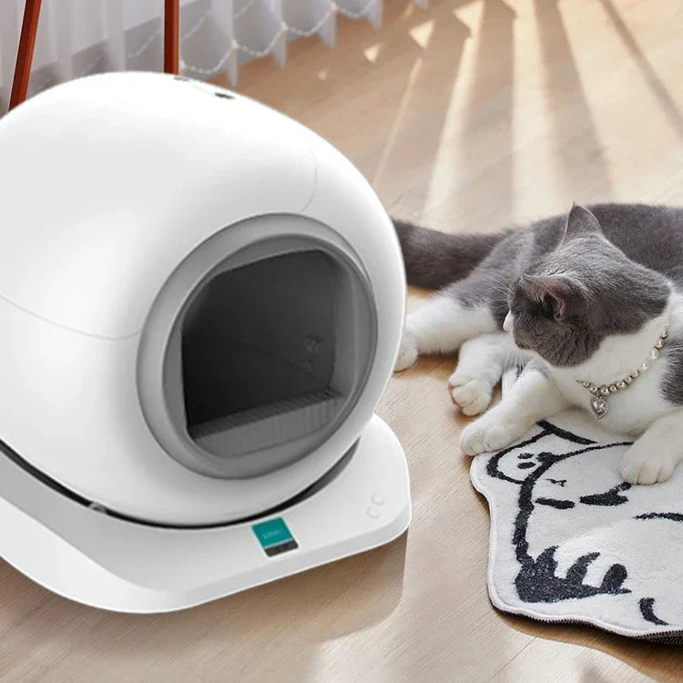 KTX-809235 Smart Self-Cleaning Cat Litter Box for Easy Maintenance - Compatible For Multiple Cats, 9L Capacity